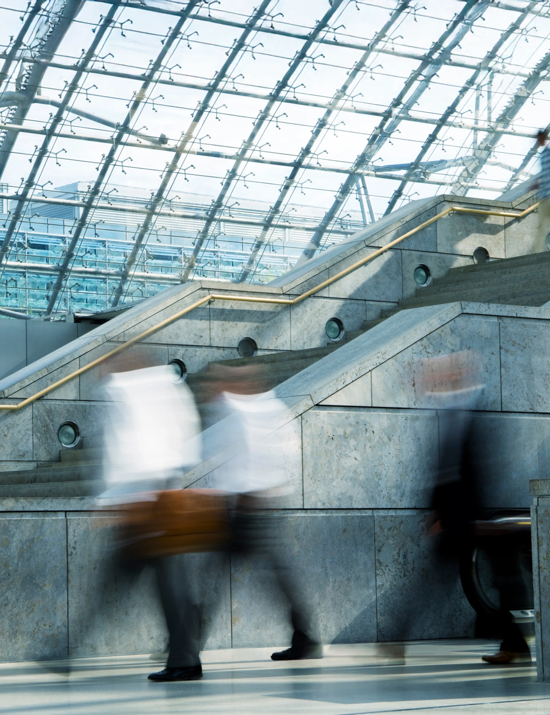 institutional investor